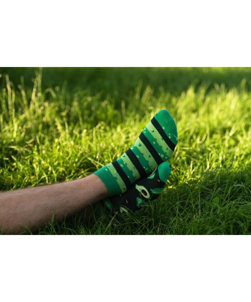 More Avocado 035-A020 tmavě zelené Pánské ponožky, 39/42, Tmavá zelená